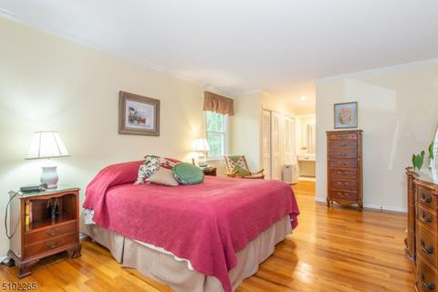 236 Lyons Rd, Basking Ridge, NJ 07920 photo 16