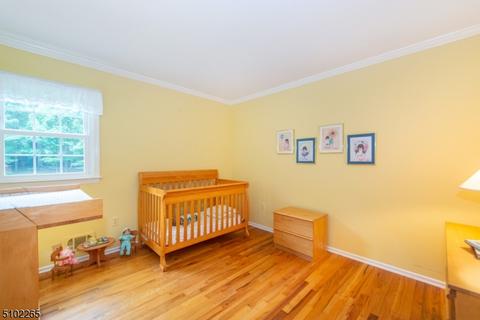 236 Lyons Rd, Basking Ridge, NJ 07920 photo 13