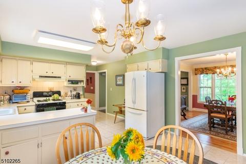 236 Lyons Rd, Basking Ridge, NJ 07920 photo 7