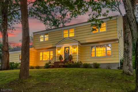 236 Lyons Rd, Basking Ridge, NJ 07920 photo 22