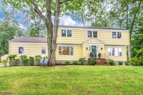 236 Lyons Rd, Basking Ridge, NJ 07920 photo 1