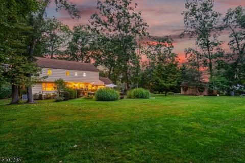 236 Lyons Rd, Basking Ridge, NJ 07920 photo 25
