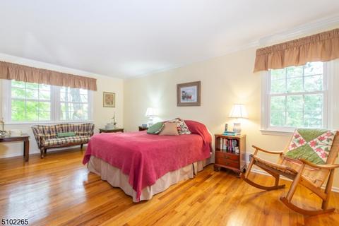 236 Lyons Rd, Basking Ridge, NJ 07920 photo 15