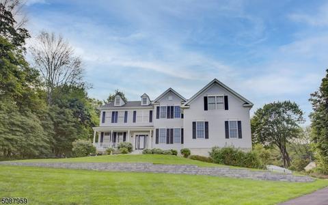 8 Sergeant Ct, Mount Olive, NJ 07828 photo 42