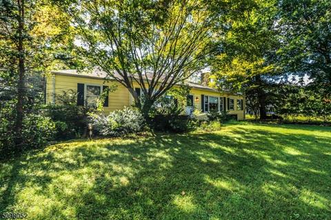 41 Fairview Dr, Bernards Twp, NJ 07920 photo 1