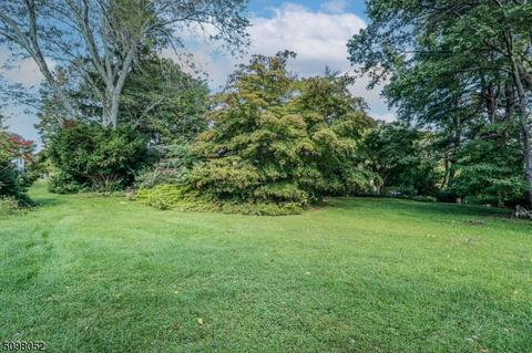 41 Fairview Dr, Bernards Twp, NJ 07920 photo 14