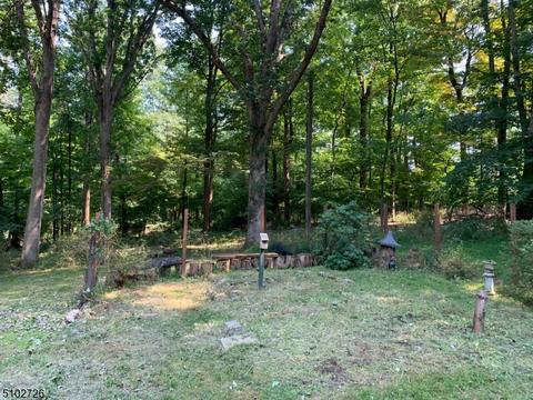 96 Ironia Rd, Mendham, NJ 07945 photo 23