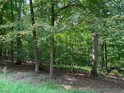 96 Ironia Rd, Mendham, NJ 07945 photo 24