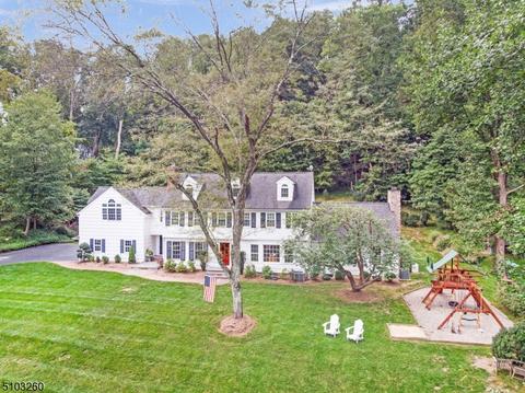 12 Summit Rd, Mendham, NJ 07945 photo 5