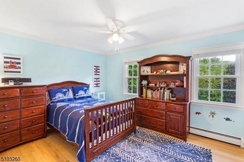 12 Summit Rd, Mendham, NJ 07945 photo 24