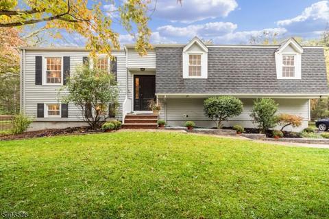 28 Drake Rd, Mendham, NJ 07945 photo 1
