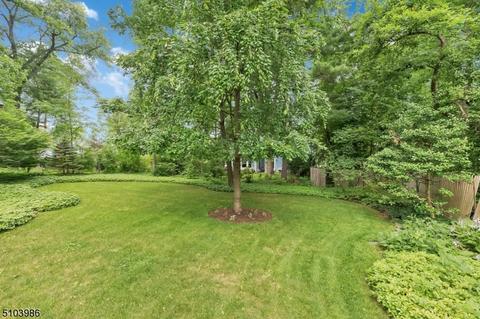 167 Mountain Ave, Summit, NJ 07901 photo 35
