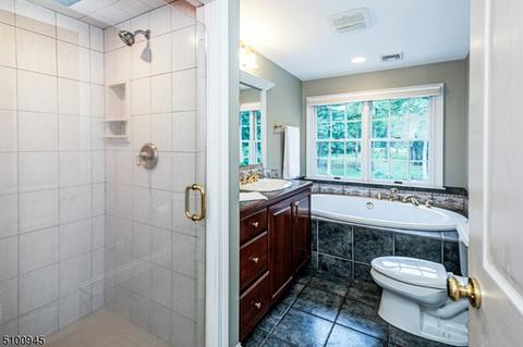 191 Mountain Rd, East Amwell Twp., NJ 08551 photo 23