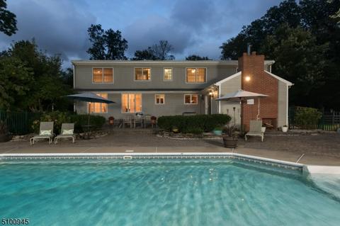 191 Mountain Rd, East Amwell Twp., NJ 08551 photo 39
