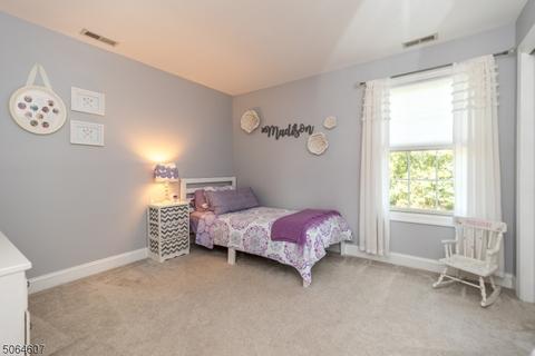 116 Junction Rd, Hampton, NJ 08827 photo 36