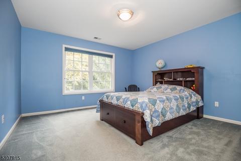 25 Setting Sun Dr, Hackettstown, NJ 07840 photo 28