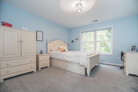 25 Setting Sun Dr, Hackettstown, NJ 07840 photo 27