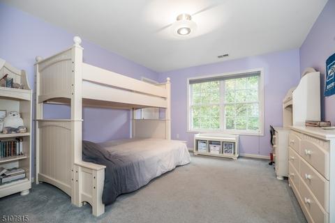 25 Setting Sun Dr, Hackettstown, NJ 07840 photo 25