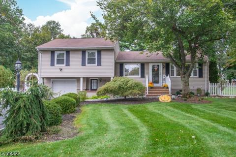 25 Perrin Dr, Wayne, NJ 07470 photo 1