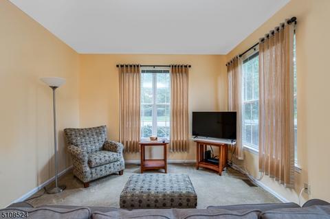1 Willow Ct, Clinton, NJ 08809 photo 10