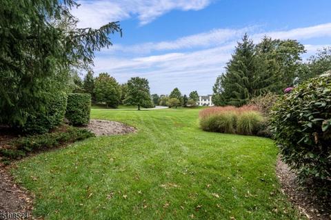 1 Willow Ct, Clinton, NJ 08809 photo 22