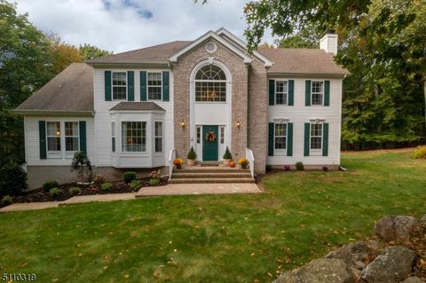 6 Donna Ln, Mount Olive, NJ 07836 photo 1
