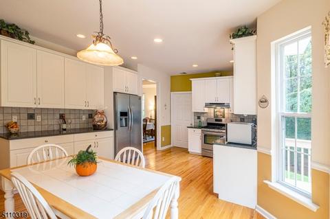 6 Donna Ln, Mount Olive, NJ 07836 photo 9