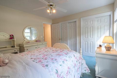 6 Donna Ln, Mount Olive, NJ 07836 photo 22
