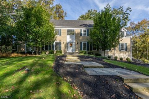 36 Rustic Trl, Flemington, NJ 08822 photo 1