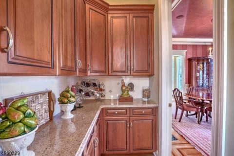 145 Talmage Rd, Mendham, NJ 07945 photo 12