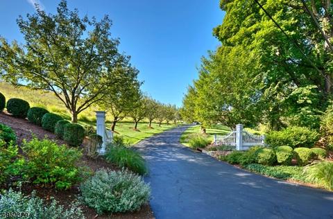 145 Talmage Rd, Mendham, NJ 07945 photo 22