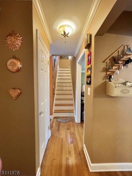 1204 W 6th St, Plainfield, NJ 07063 photo 18
