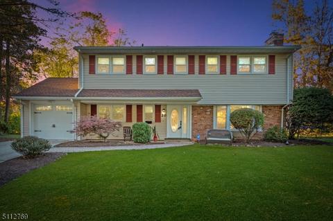 20 Hampton Dr, Berkeley Heights, NJ 07922 photo 1