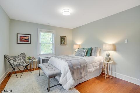 66 Locust Ave, Millburn, NJ 07041 photo 20