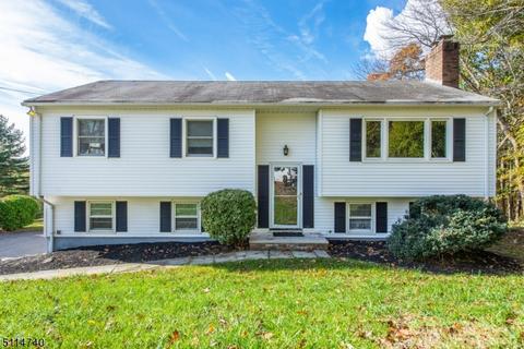 36 Hillside Rd, Hackettstown, NJ 07840 photo 1