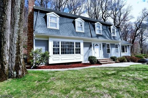 3 Horizon Dr, Mendham, NJ 07945 photo 1