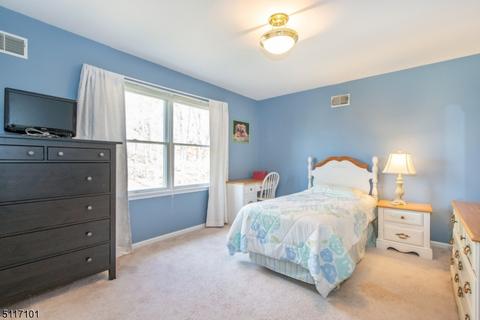 5 Noa Ct, Hackettstown, NJ 07840 photo 21