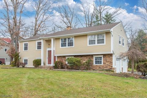3 Wedgewood Dr, Wayne, NJ 07470 photo 1