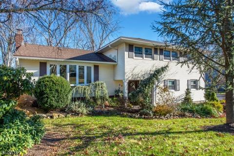 57 Kossuth Pl, Wayne, NJ 07470 photo 2