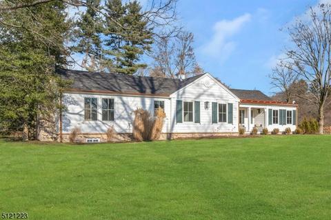 10 E Craig St, Basking Ridge, NJ 07920 photo 3