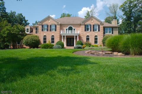 3 Shadowbrook Way, Mendham, NJ 07945 photo 1