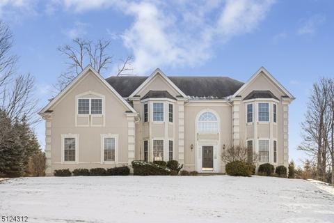 19 Setting Sun Dr, Hackettstown, NJ 07840 photo 1