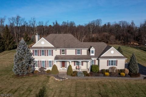 9 Turtle Ct, Flemington, NJ 08822 photo 1