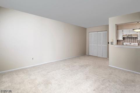 37 Hyde Ct, Bedminster, NJ 07921 photo 5