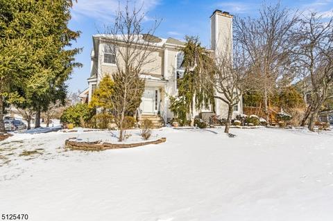 21 Apache Way, Somerville, NJ 08876 photo 32
