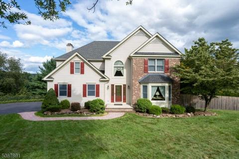 32 Foxfire Ln, Clinton, NJ 08809 photo 1