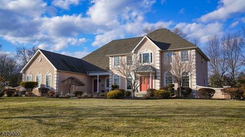 2 Dewing Ct, Ringoes, NJ 08551 photo 1