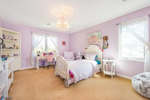 14 Rons Edge Rd, Springfield, NJ 07081 photo 31