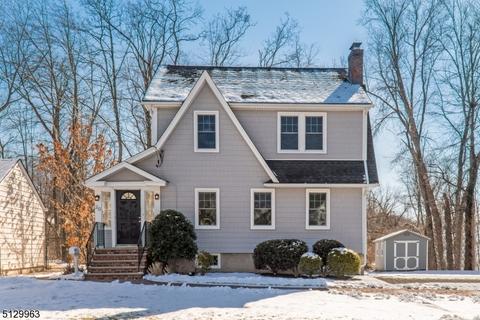 20 Lavina Ct, Summit, NJ 07901 photo 1