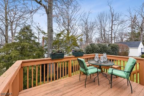 20 Webster Ave, Summit, NJ 07901 photo 32